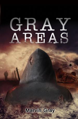 Cover of the book Gray Areas by Pamela Hamburger