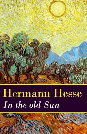 Book cover of In the old Sun (a rediscovered novella by Hermann Hesse)