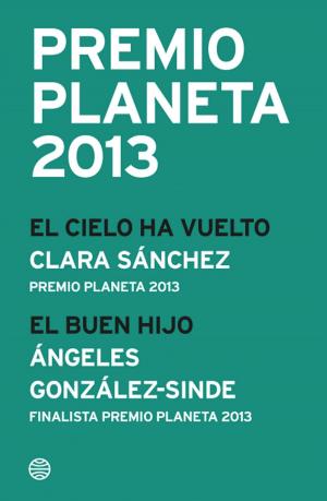 Cover of Premio Planeta 2013: ganador y finalista (pack)