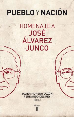 Cover of the book Pueblo y nación. Homenaje a José Álvarez Junco by Amy E. Weiss, Brian Weiss