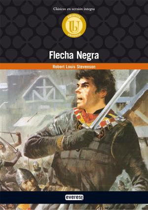 Cover of the book Flecha Negra by Emilio Salgari