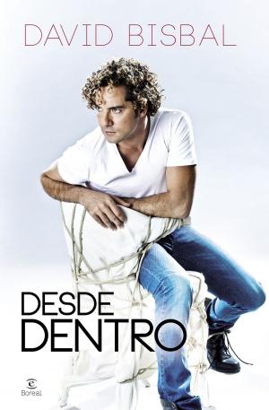 Cover of the book Desde dentro by Mikel Ayestaran