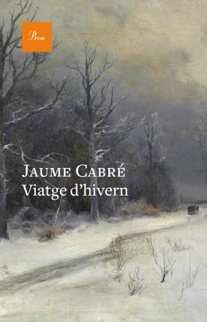 Cover of the book Viatge d'hivern by Joan-LLuís Lluís