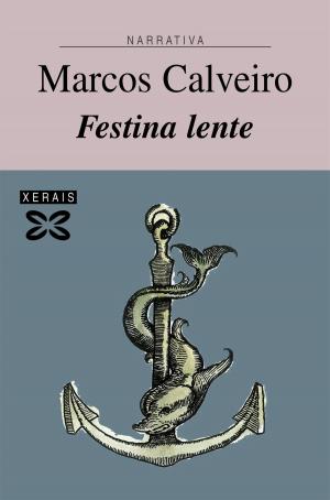 Cover of the book Festina lente by Mar Guerra