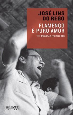 Cover of the book Flamengo é puro amor by Jacques Fux