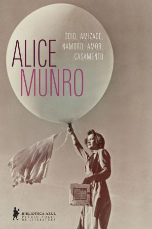 Cover of the book Ódio, amizade, namoro, amor, casamento by Leisa Rayven