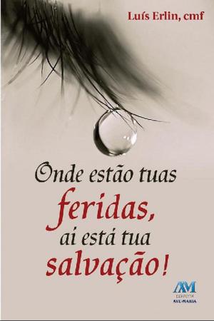 Cover of the book Onde estão tuas feridas, aí está a tua salvação by Mário Antonio Sanches