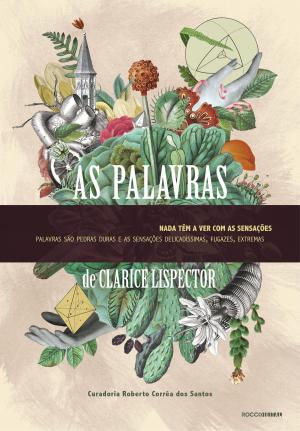 Cover of the book As palavras by Janice Steinberg