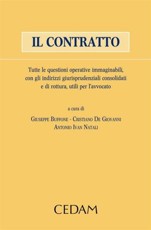 Cover of the book Il contratto by Mazzon Riccardo