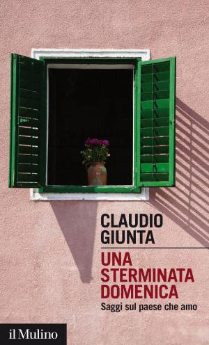 Book cover of Una sterminata domenica