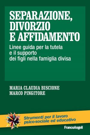 Book cover of Separazione, divorzio e affidamento. Linee guida per la tutela e il supporto dei figli nella famiglia divisa