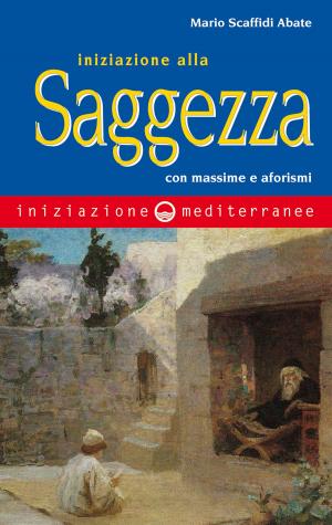 Cover of the book Iniziazione alla saggezza by Julius Evola