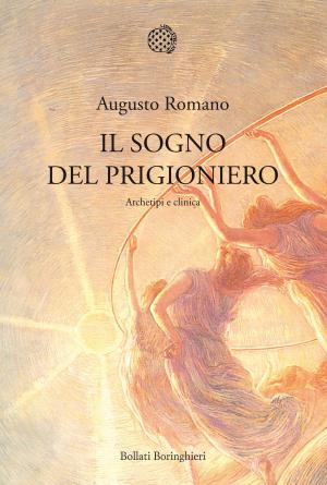 Cover of the book Il sogno del prigioniero by Sigmund Freud