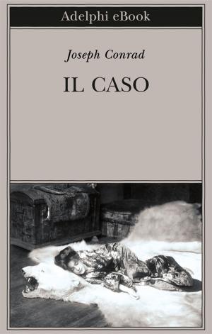 Cover of the book Il caso by Paolo Maurensig