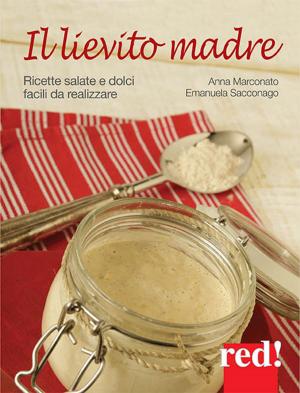 Book cover of Il lievito madre