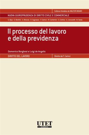 Cover of the book Il processo del lavoro e della previdenza by Enrico Gragnoli, Susanna Palladini