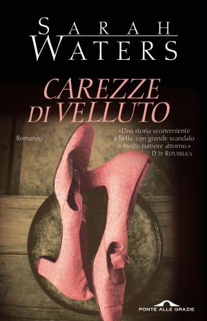 Book cover of Carezze di velluto