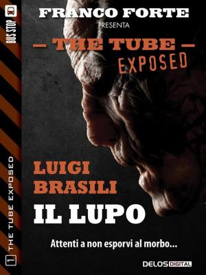 Book cover of Il lupo