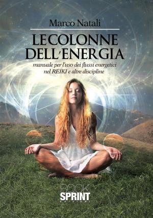 Cover of the book Le colonne dell'energia by Davide Napoletani