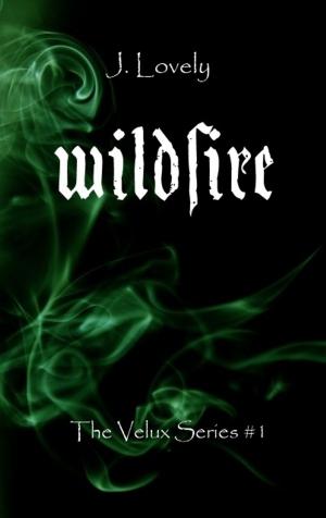 Book cover of Wildfire- the velux series #1