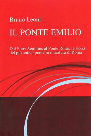 Cover of the book Il ponte emilio by Ace Abbott