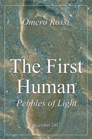 Cover of The first human : pebbles of light