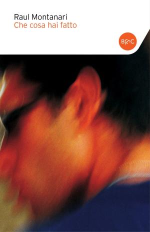 Cover of the book Che cosa hai fatto by Gino Vignali, Michele Mozzati, Francesco Bozza