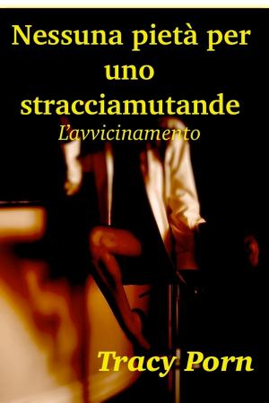 Cover of the book Nessuna pietà per uno stracciamutande. L'avvicinamento. by Tracy Porn