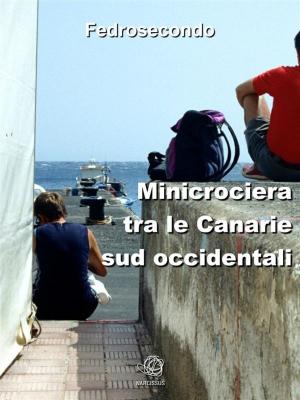Book cover of Minicrociera tra le Canarie sud occidentali.