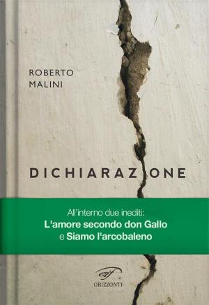 Cover of the book Dichiarazione by Roberto Marchesi