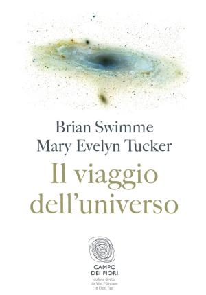 Book cover of Il viaggio dell’universo