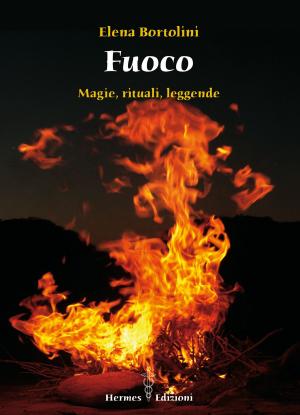 Cover of the book Fuoco by Kenaz Filan