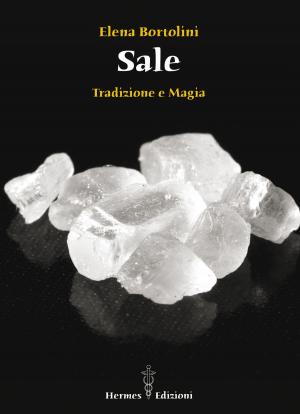 Cover of the book Sale by Elena Bortolini