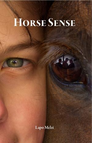 Cover of the book Horse Sense by Angharad Thompson Rees