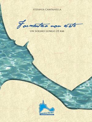 Book cover of Formentera non esiste