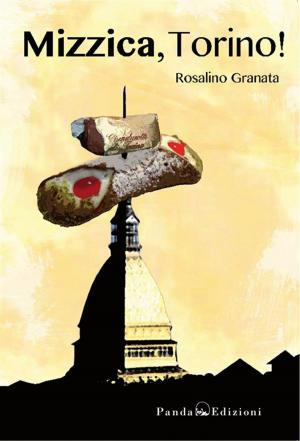 Cover of the book Mizzica, Torino! by Andrea Tralli