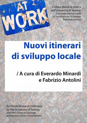 Cover of the book Nuovi itinerari di sviluppo locale by Tiziana Zita
