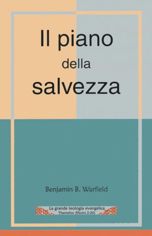 Book cover of Il piano della salvezza