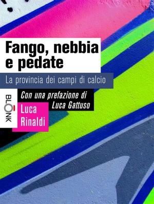 Cover of the book Fango, nebbia e pedate by Emanuele Vannini