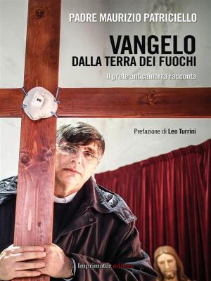 Cover of the book Vangelo dalla terra dei fuochi by Carla Ferguson Barberini