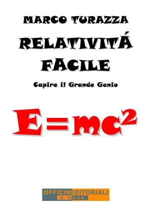 Book cover of Relatività Facile