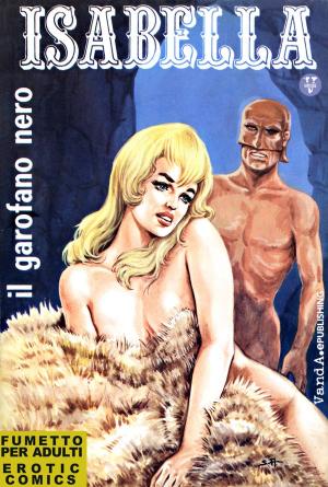 Cover of the book Il garofano nero by Renzo Barbieri, Giorgio Cavedon