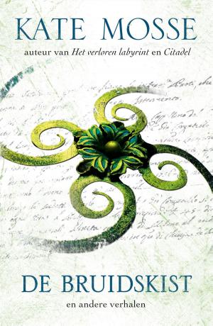 Cover of the book De bruidskist by Robyn Young