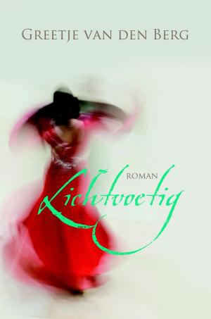 Cover of the book Lichtvoetig by Tessa Afshar