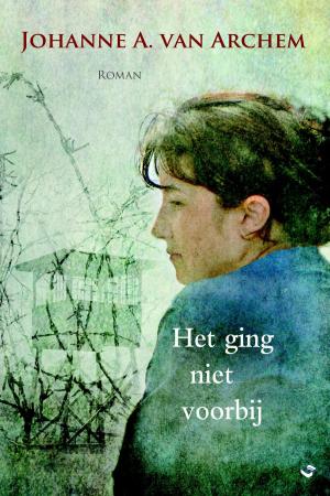 Cover of the book Het ging niet voorbij by Karin Peters