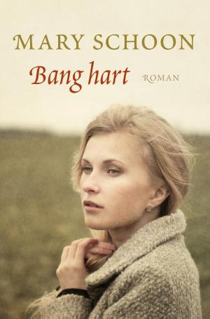 Cover of the book Bang hart by Jan Huisamen