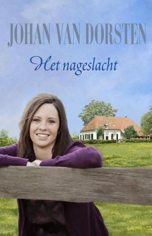 Cover of the book Het nageslacht by Leo Damrosch