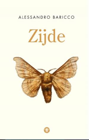 Cover of the book Zijde by Paul Auster