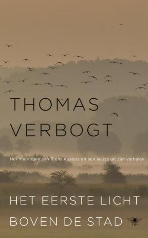 Cover of the book Het eerste licht boven de stad by Marten Toonder