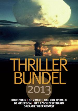 Book cover of Thrillerbundel 2013